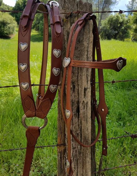 bridle and breast collar set